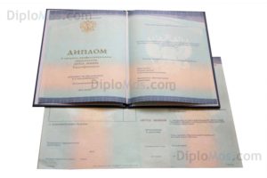 купить диплом экономиста об окончании экономического колледжа